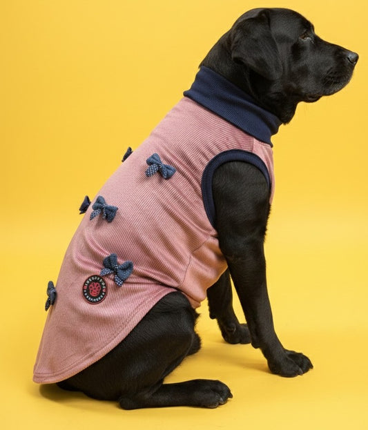 Luckypaws Blue Boe High neck Pink Sweater