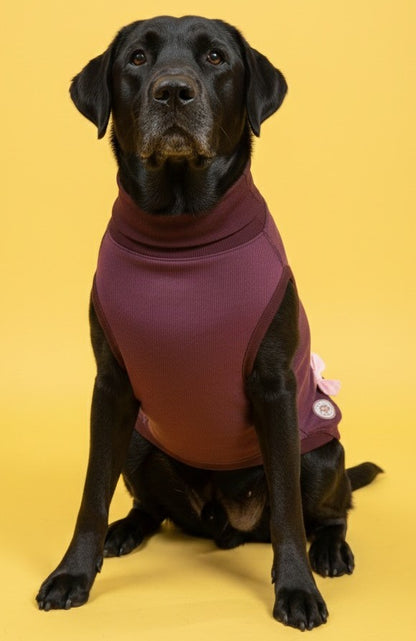 Luckypaws Pink Boe High neck Maroon Sweater