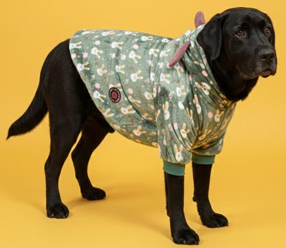 LuckyPaws Green Velvet Hoodie