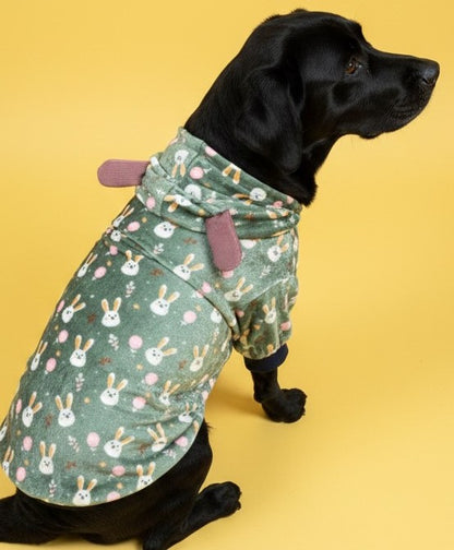 LuckyPaws Green Velvet Hoodie