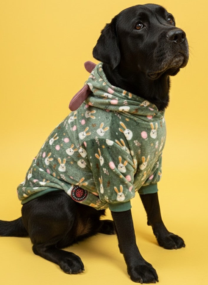 LuckyPaws Green Velvet Hoodie