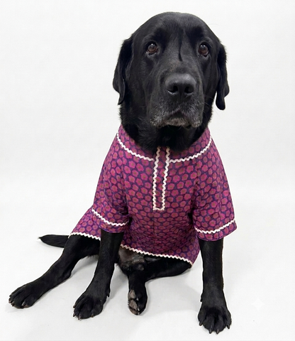 LuckyPaws Royal Ethnic Kurta in purple, featuring traditional design and intricate patterns, displayed on a mannequin.