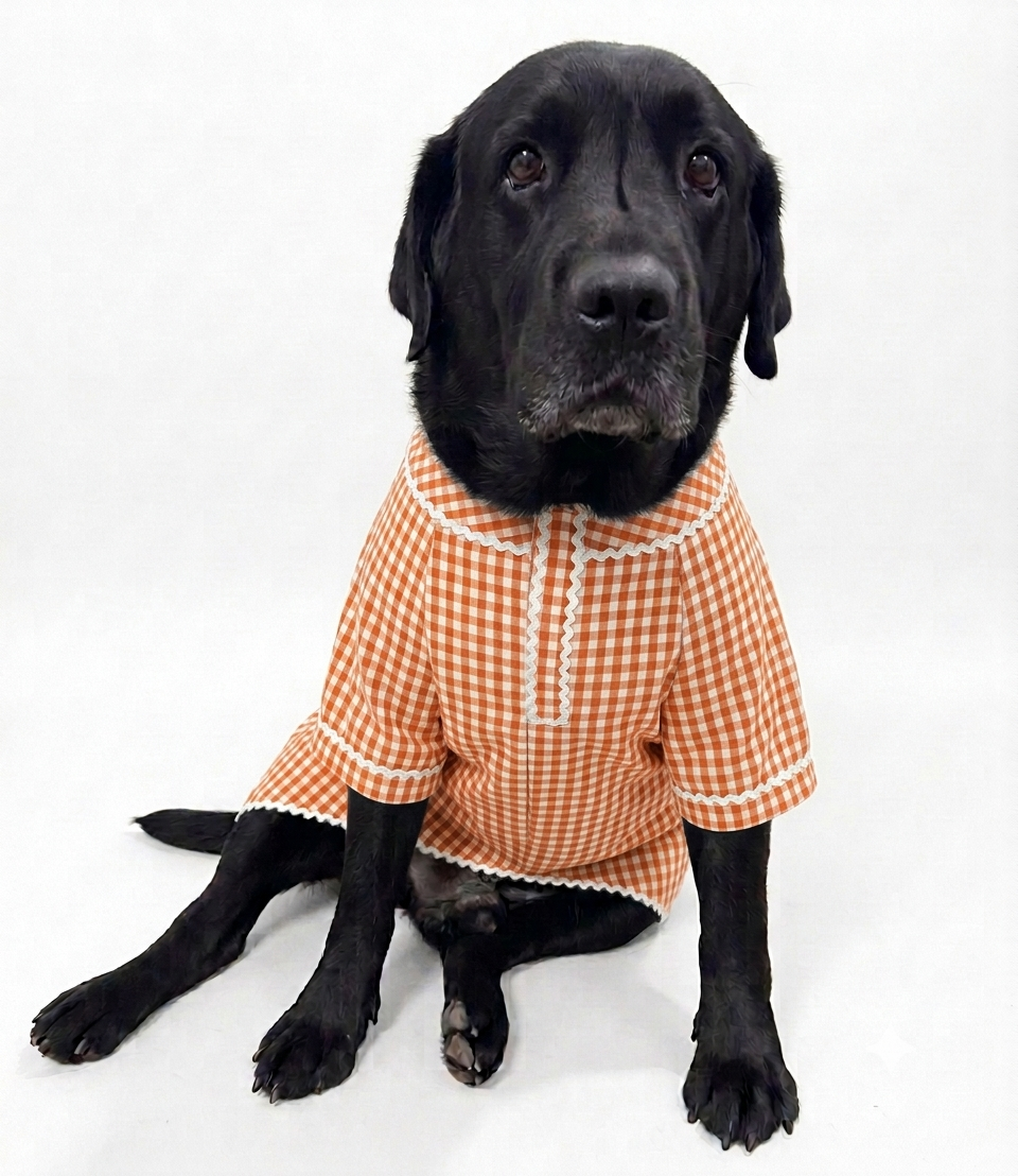 LuckyPaws Royal Ethnic Kurta in vibrant orange, featuring traditional design and intricate details.