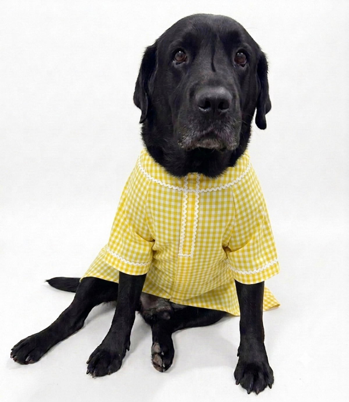 Yellow ethnic kurta by LuckyPaws featuring traditional design and intricate embroidery, perfect for festive occasions.