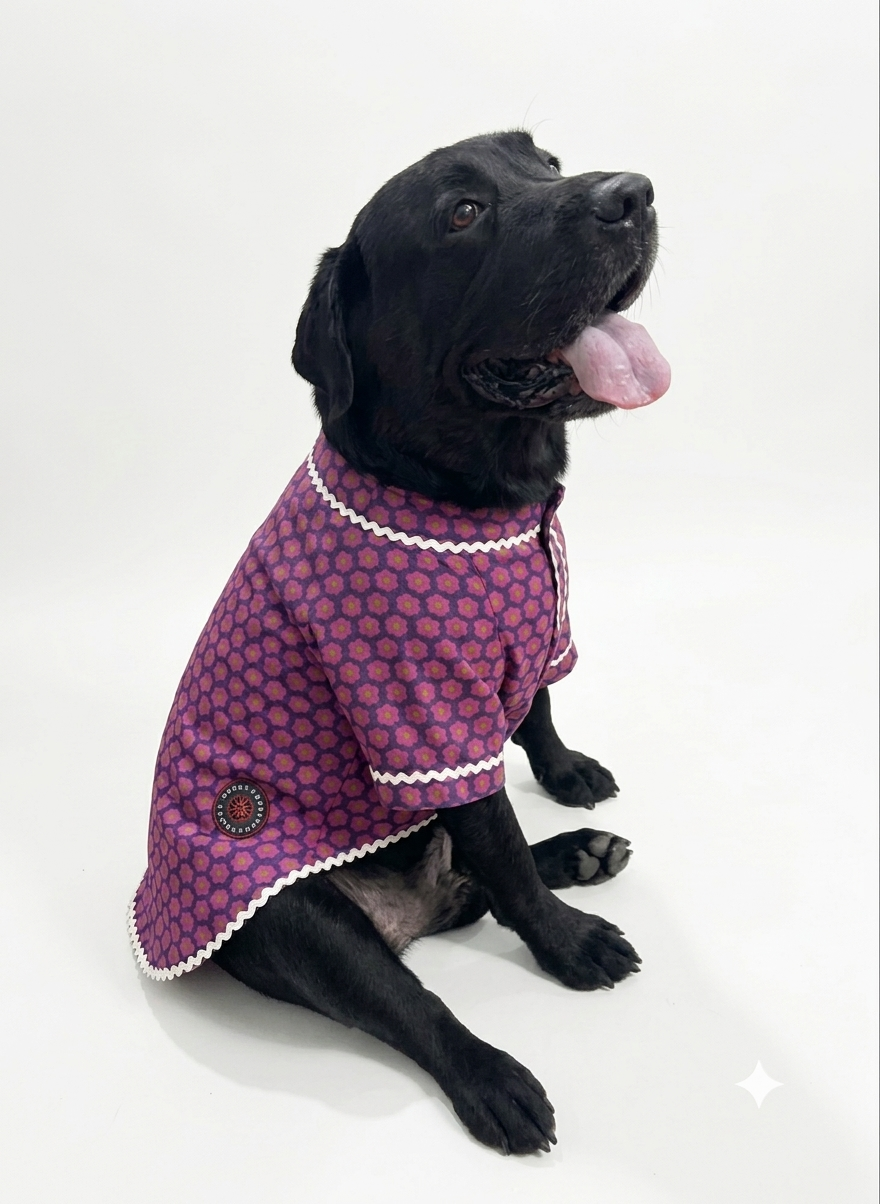 Purple ethnic kurta by LuckyPaws featuring intricate traditional embroidery and a comfortable fit for festive occasions.