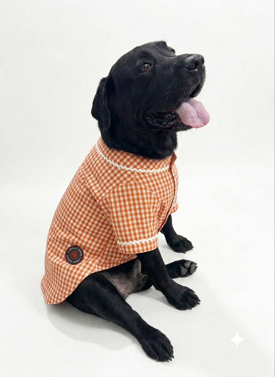 Orange ethnic kurta by LuckyPaws featuring intricate embroidery and traditional design, perfect for festive occasions.
