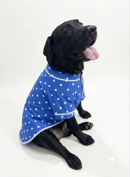LuckyPaws Royal Ethnic Kurta in Polka Blue, featuring traditional design and elegant fabric, displayed on a mannequin.