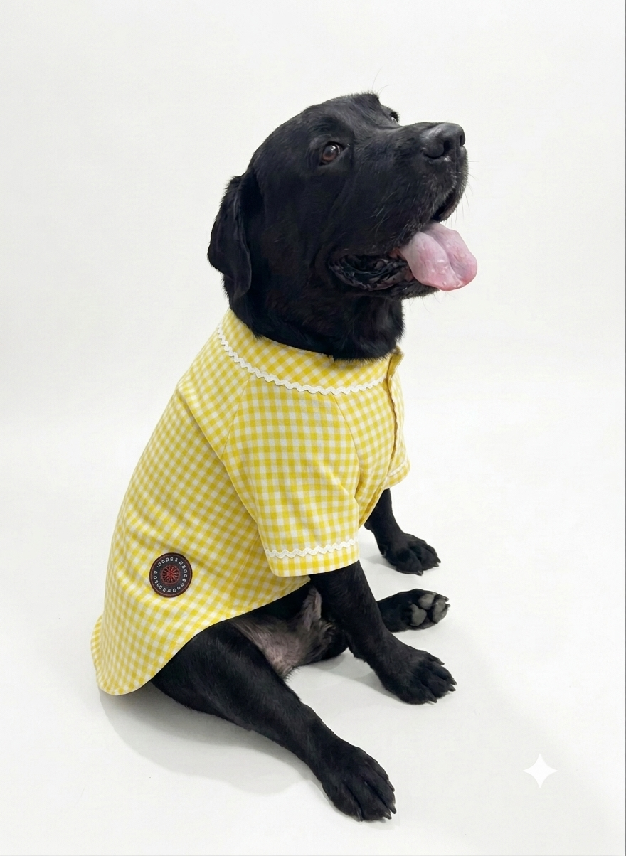 Yellow ethnic kurta by LuckyPaws featuring intricate royal patterns, displayed on a hanger.