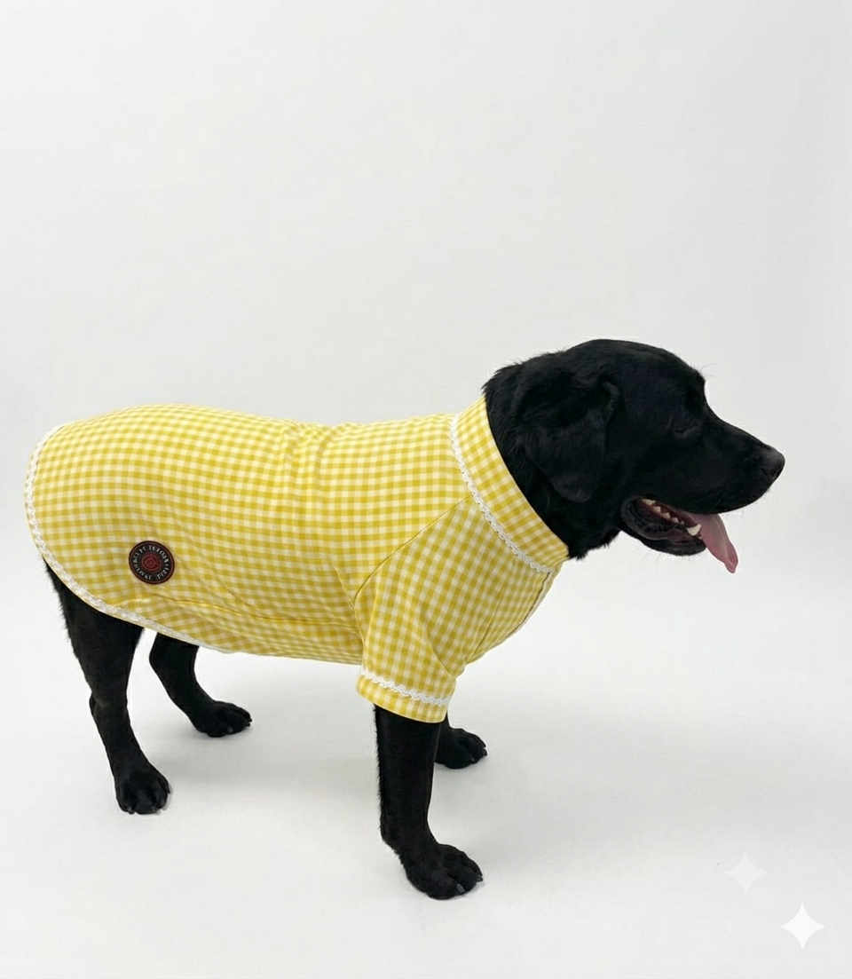 Yellow ethnic kurta by LuckyPaws featuring intricate embroidery and traditional design, perfect for festive occasions.