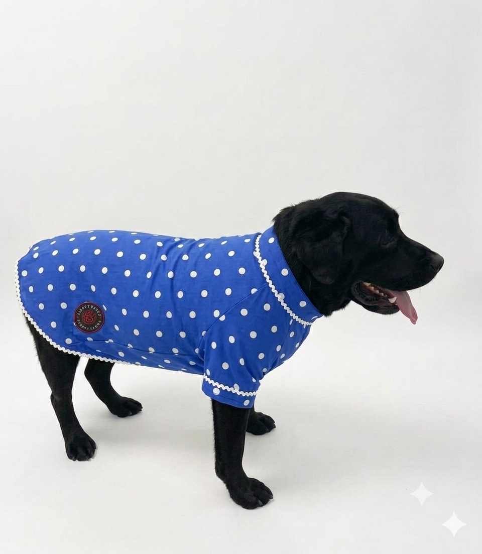 LuckyPaws Royal Ethnic Kurta in Polka Blue, featuring traditional design and comfortable fabric, displayed on a hanger.