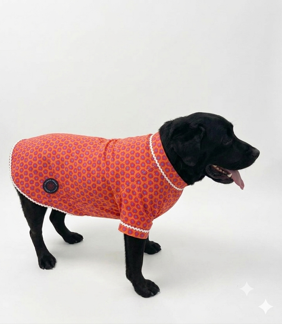 LuckyPaws royal orange ethnic floral kurta with intricate embroidery and traditional design, perfect for festive occasions.