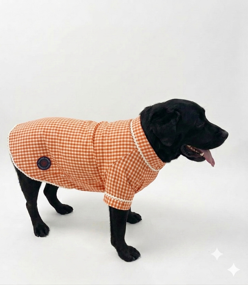 Orange ethnic kurta by LuckyPaws featuring intricate traditional embroidery and a comfortable fit for festive occasions.