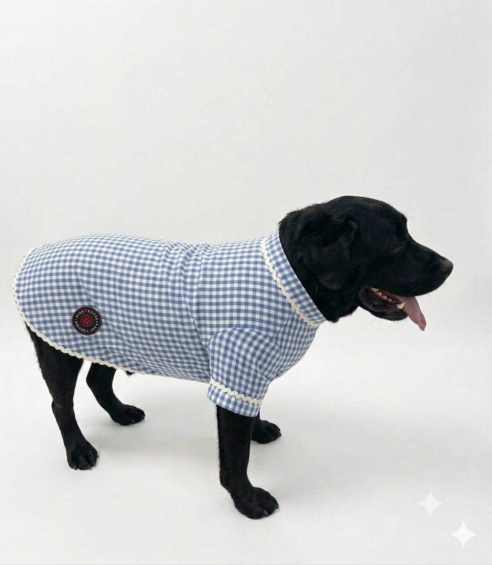 Blue ethnic kurta by LuckyPaws with intricate patterns and traditional design, perfect for festive or casual wear.