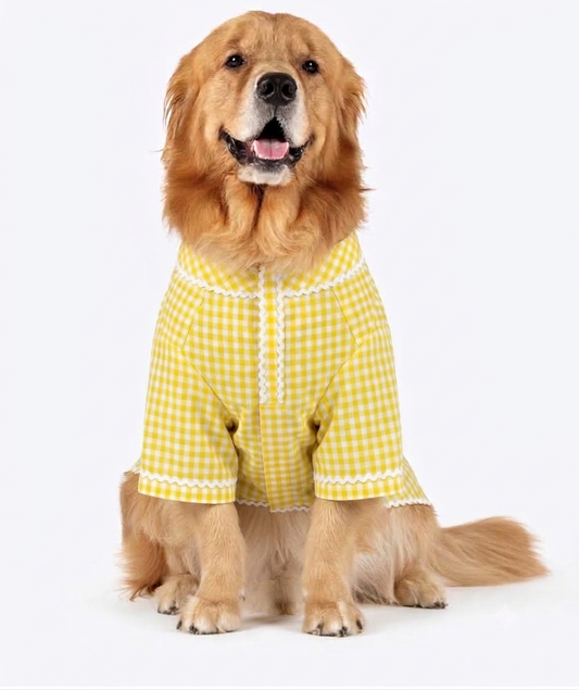 Yellow ethnic kurta by LuckyPaws featuring traditional design and intricate patterns, perfect for festive or casual wear.