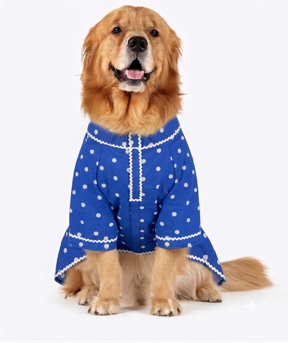 LuckyPaws Royal Ethnic Kurta in Polka Blue color, featuring traditional design and intricate detailing, perfect for festive occasions.