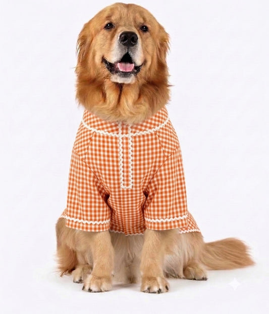 Orange ethnic kurta by LuckyPaws with intricate embroidery and traditional design, displayed on a mannequin.