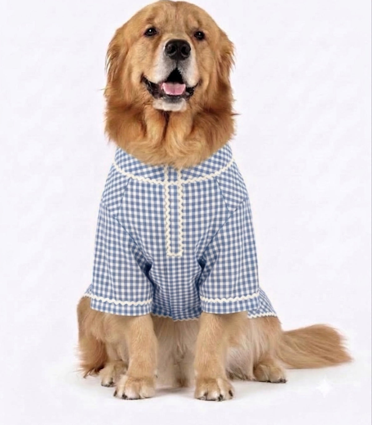 Blue ethnic kurta from LuckyPaws with intricate design, showcasing traditional style and vibrant textile details.