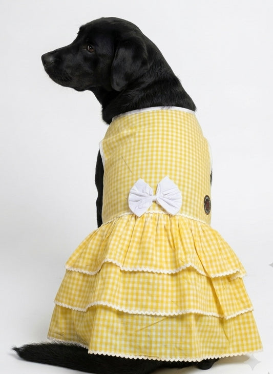 Yellow ethnic frock for dogs by LuckyPaws, featuring intricate patterns and traditional design, perfect for special occasions.