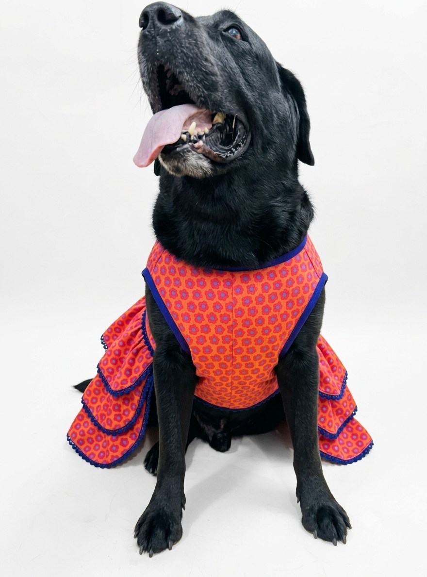 LuckyPaws royal ethnic frock in vibrant orange, featuring traditional design and intricate patterns, perfect for festive occasions.