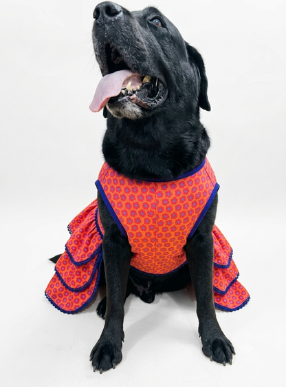 LuckyPaws royal ethnic frock in vibrant orange, featuring traditional design and intricate patterns, perfect for festive occasions.