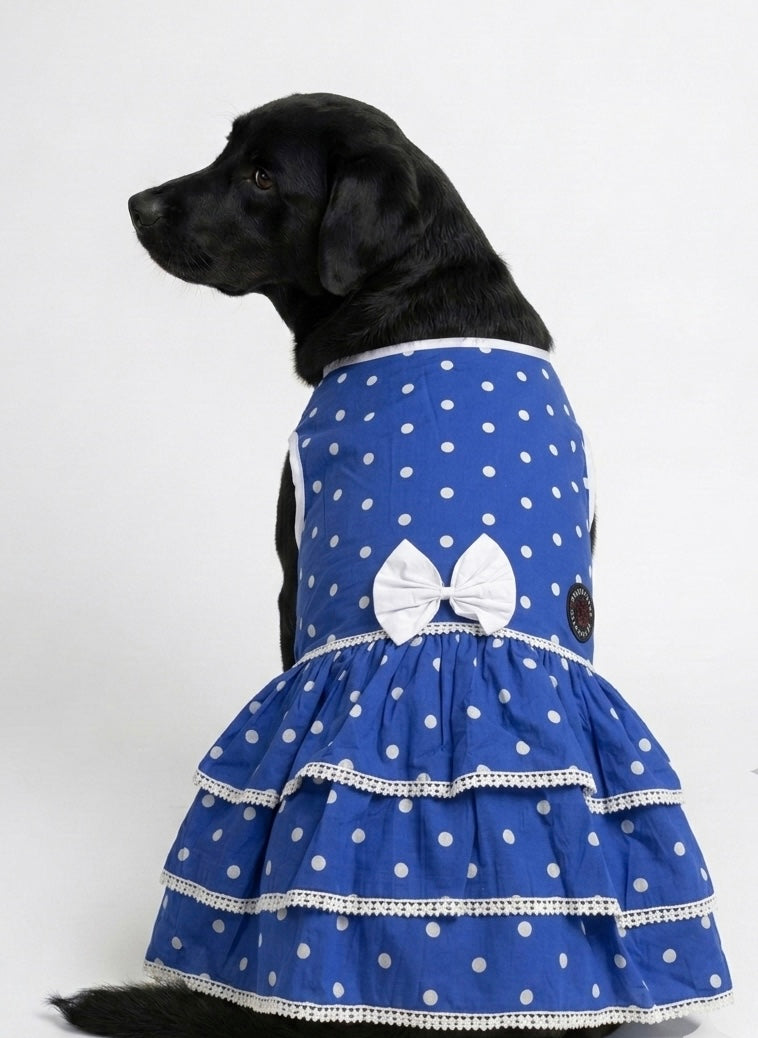 LuckyPaws Royal Ethnic Frock in vibrant blue, featuring traditional patterns and elegant design for special occasions.