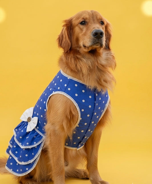 Blue LuckyPaws Royal Ethnic Frock for kids, featuring traditional patterns and vibrant fabric, shown on a child.