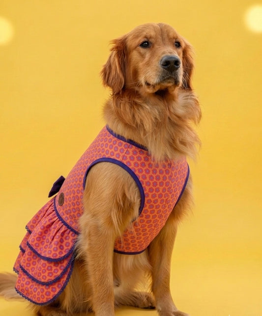 LuckyPaws royal orange ethnic frock with intricate patterns for women, showcasing traditional Indian style and vibrant fabric design.