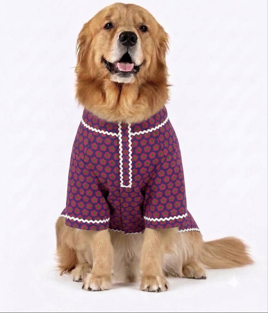 LuckyPaws royal purple ethnic kurta with intricate embroidery, traditional design, and comfortable fabric for festive or casual wear.