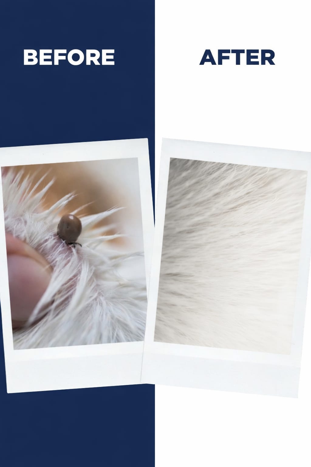 LuckyPaws Organic Dog Tick & Flea Spray | Shield & Relief - LuckyPaws