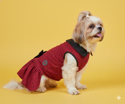 Luckypaws Winter Frock
