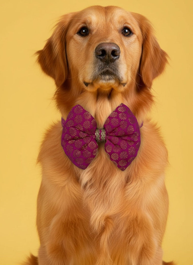 LuckyPaws Ethnic Rani Pink Bow
