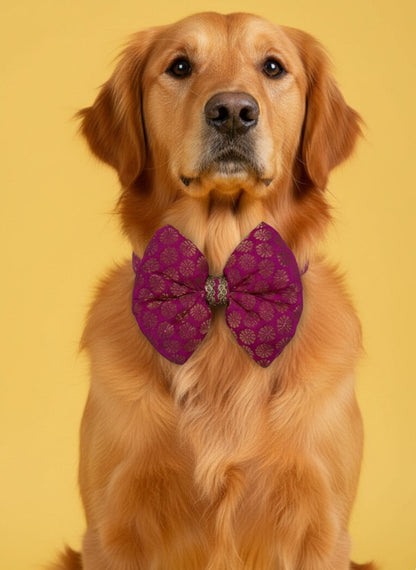 LuckyPaws Ethnic Rani Pink Bow