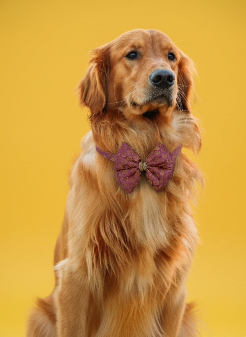 LuckyPaws Ethnic Baby Pink Bow