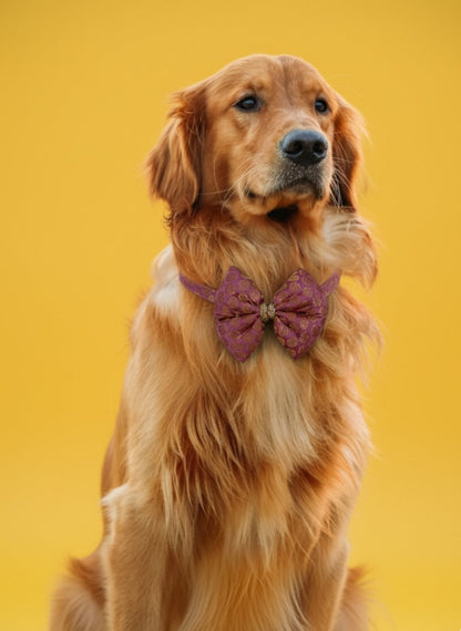 LuckyPaws Ethnic Baby Pink Bow