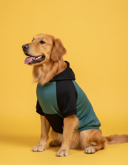 LuckyPaws Dual Colour Sweatshirt With Black Pocket