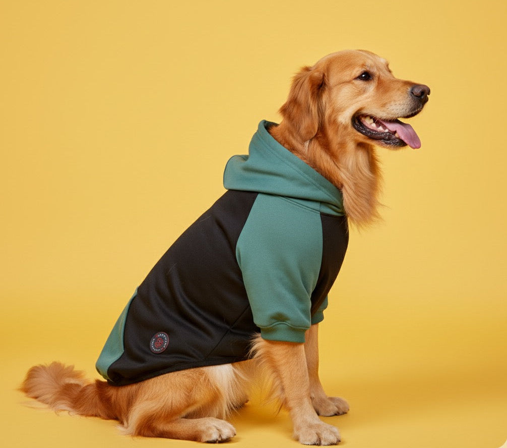 LuckyPaws Dual Colour Sweatshirt With Green Pocket
