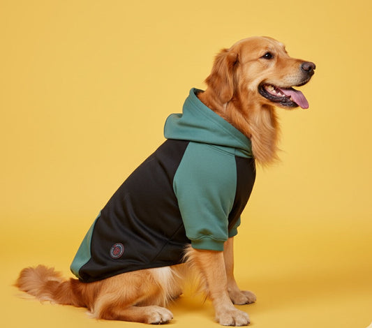 LuckyPaws Dual Colour Sweatshirt With Green Pocket