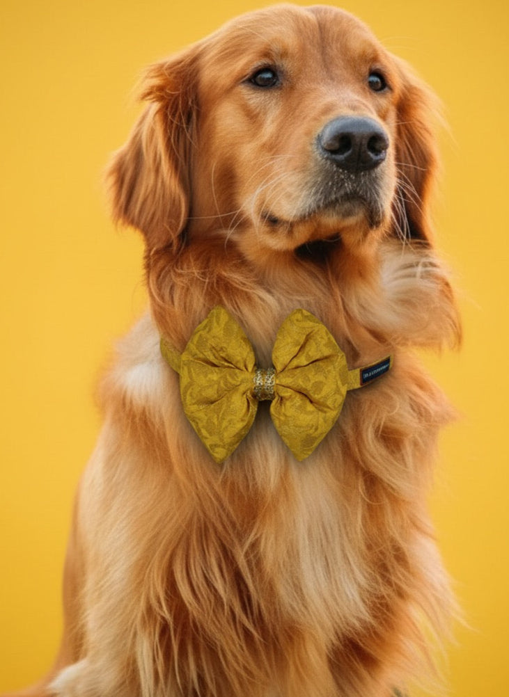 LuckyPaws Ethnic Yellow Bow