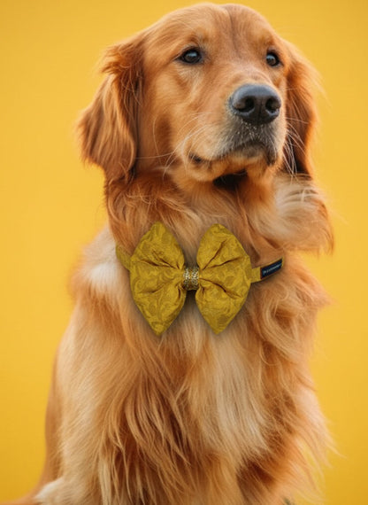 LuckyPaws Ethnic Yellow Bow