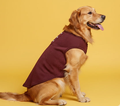 LuckyPaws Maroon Colour Sweater