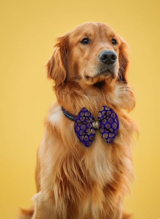 LuckyPaws Ethnic Purple Bow