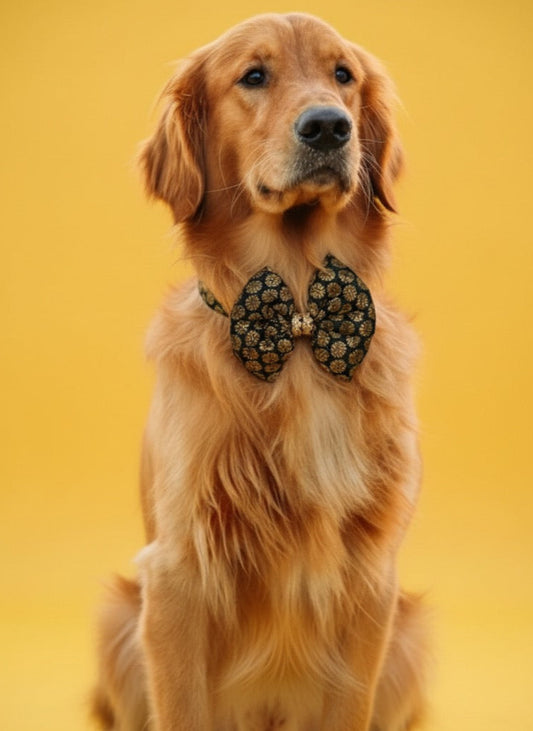 LuckyPaws Ethnic Black Bow
