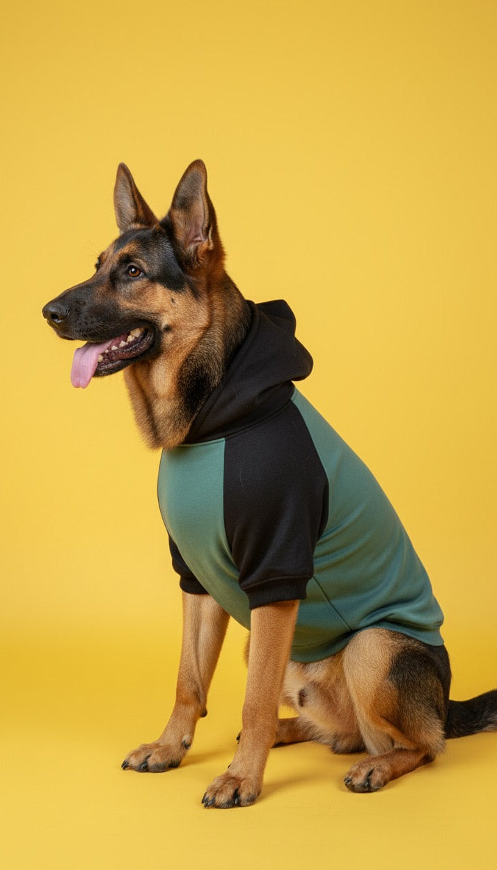 LuckyPaws Dual Colour Sweatshirt With Black Pocket