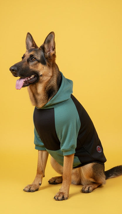LuckyPaws Dual Colour Sweatshirt With Green Pocket