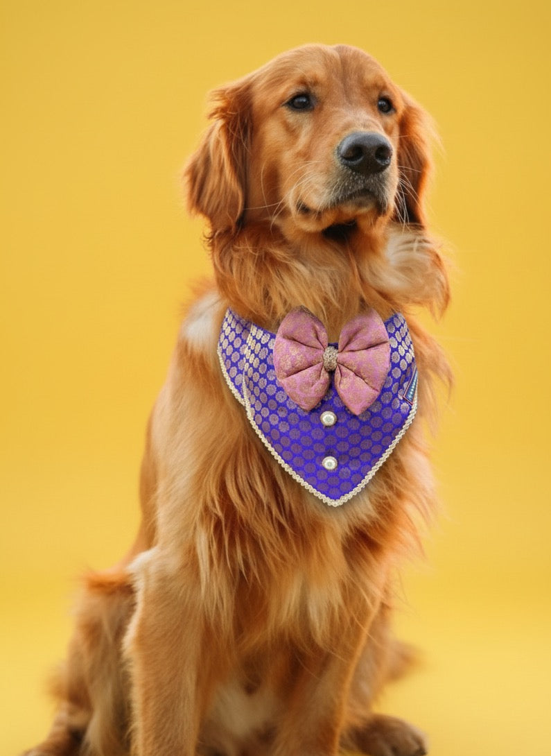 LuckyPaws Ethnic purple Bandana With Pink Boe