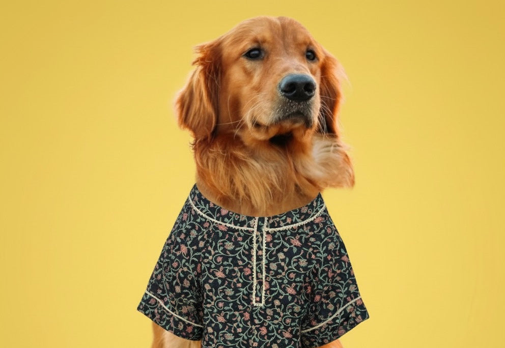 LuckyPaws Ethnic Kurta Black Colour