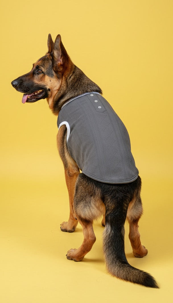 LuckyPaws Grey Colour Sweater