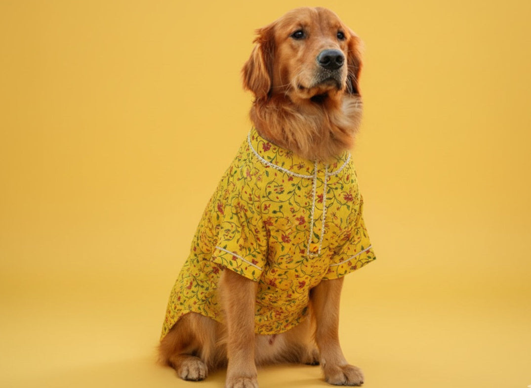 LuckyPaws  Ethnic Kurta Yellow Colour