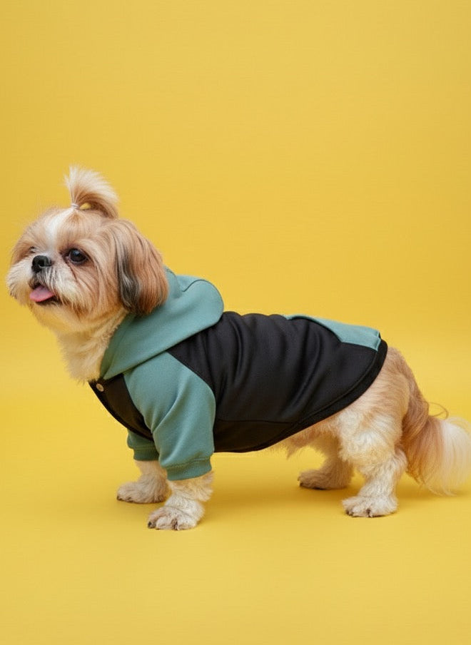 LuckyPaws Dual Colour Sweatshirt With Green Pocket