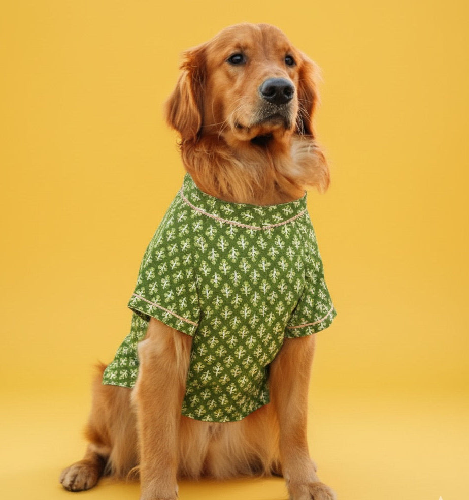 LuckyPaws  Ethnic Kurta Green Colour